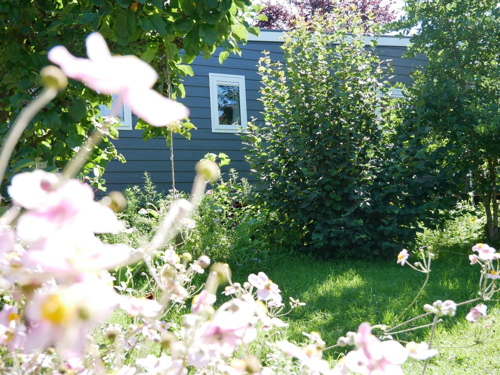 Tiny Ferienhaus Kelze Hofgeismar Eksteriør bilde
